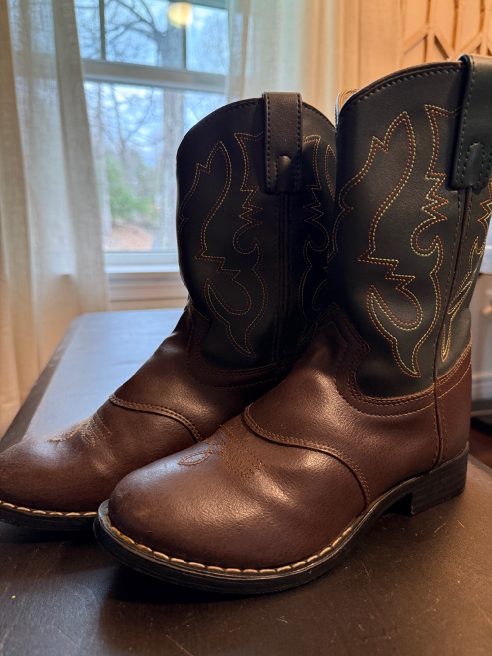 Boy’s Brown and Green Western Boots